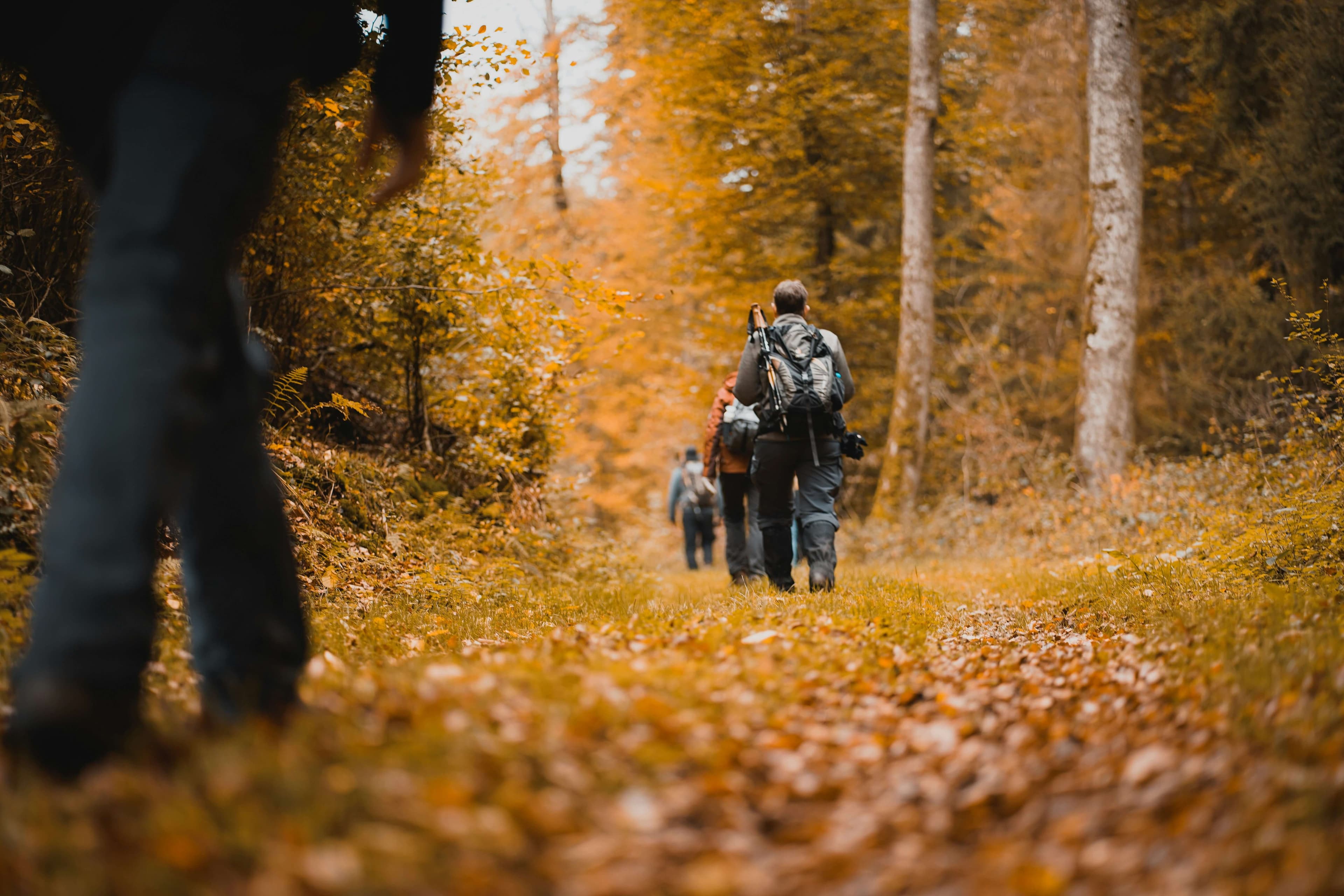 Weekend Hike with the Family: Discovering Hidden Waterfalls
